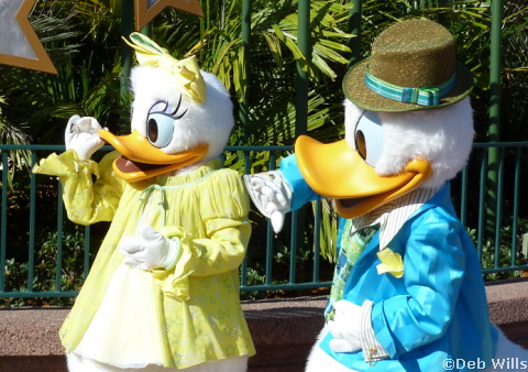Donald and Daisy's new Costume at Disney's Hollywood Studios