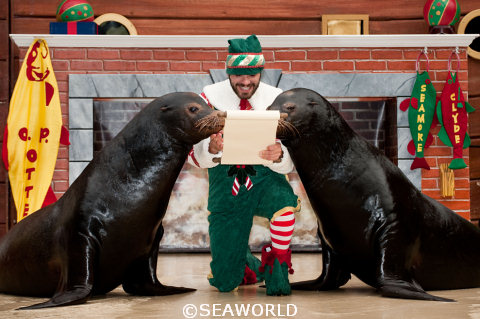 Clyde and Seamore SeaWorld