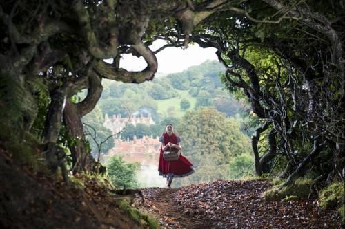 IntoTheWoods1.jpg
