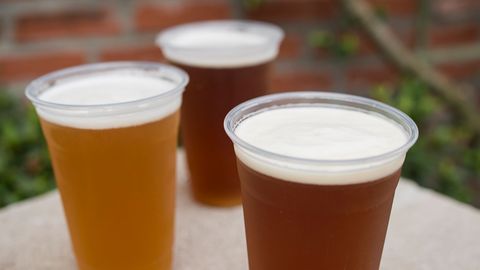 beers.jpeg