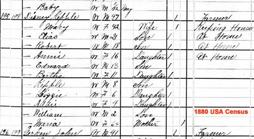 1880%20Census%20USA%20-%20Kepple%20Disney%20500.jpg