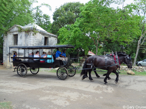 Carriage_ride