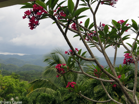Beautiful_vista