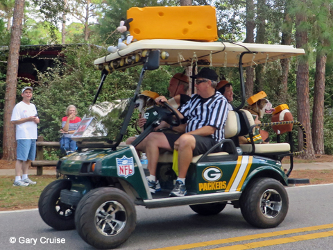 Green Bay Packers fan