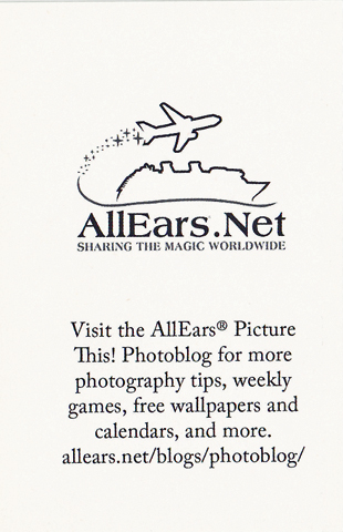 AllEars_Trading_Card_Reverse