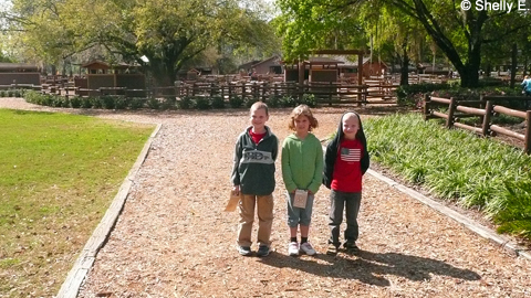 At_the_horse_barns