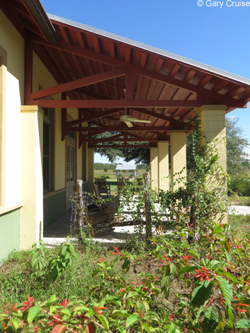 Butterfly Garden