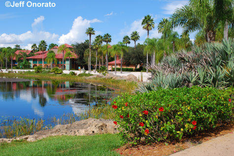 Coronado Springs View Across the Water