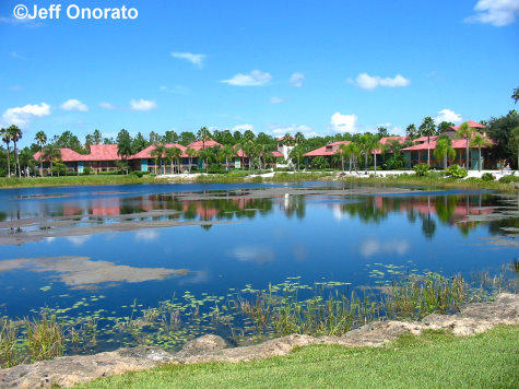 Coronado Springs View Across the Water