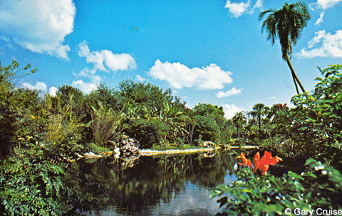 Discovery Island postcard