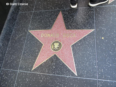 Donald Duck's star
