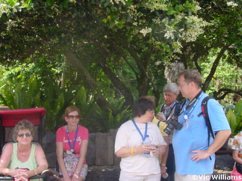 All Ears Facebook Fan Gathering
