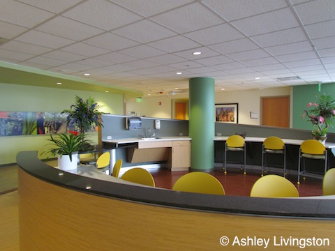 Savanna themed floor
