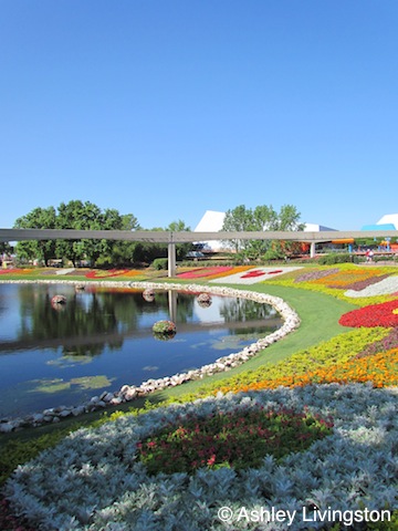 Flower Blanket