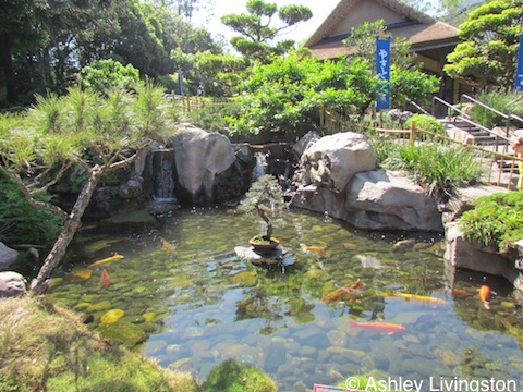 Japan garden