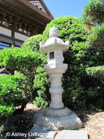 Lantern