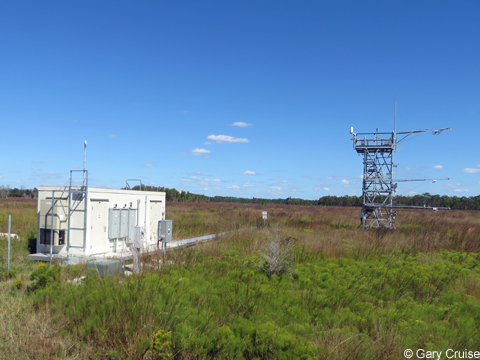 NEON research station