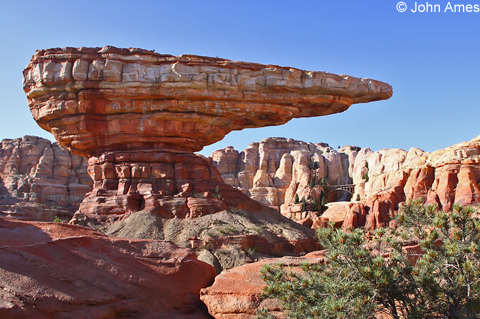 Radiator_Springs