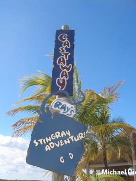 Castaway Ray's Stingray Adventure - Castaway Cay - Disney Cruise Line