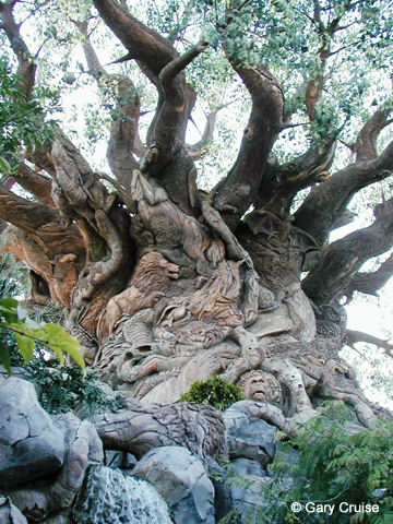 Tree of Life 1999