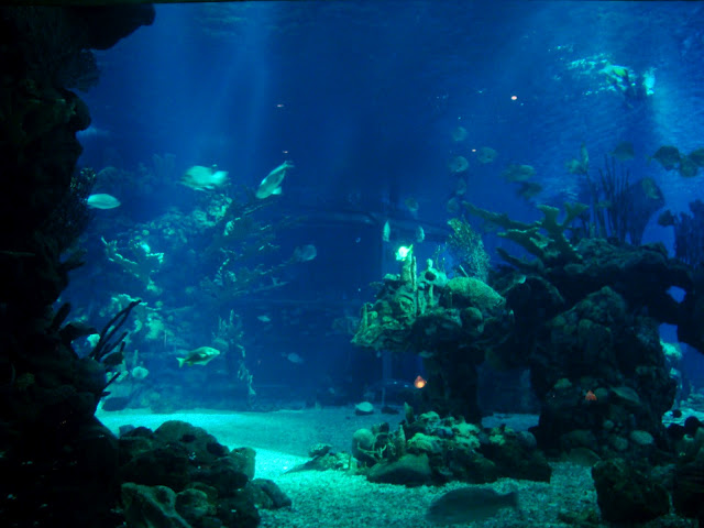Underwater3