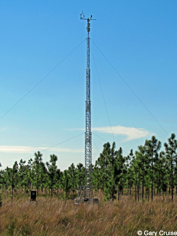 University of Central Florida research station
