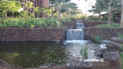 aulani46.jpg