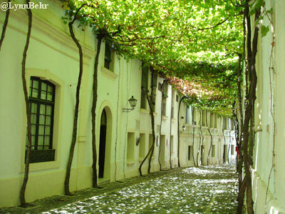Streets of Cadiz