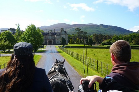 day4_cart_muckross.jpg