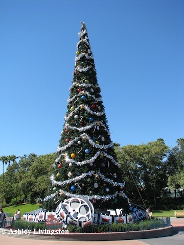 dhs2010holiday1.jpg