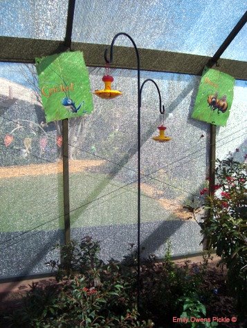 Epcot Flower and Garden Festival