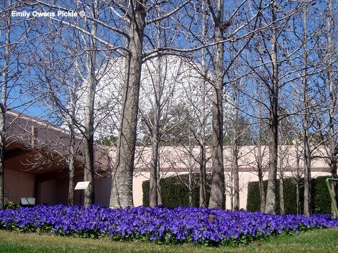Epcot Flower and Garden Festival