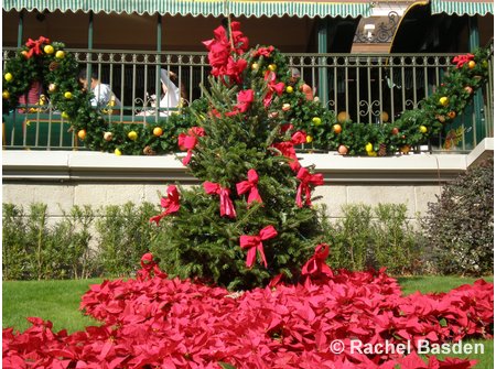 Magic Kingdom