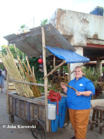 tasteofafrica12.jpg