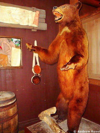 Trail's End Restaurant - Ft. Wilderness