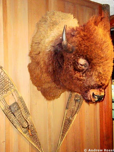 Trail's End Restaurant - Ft. Wilderness