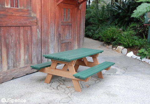 Dinoland Picnic Table