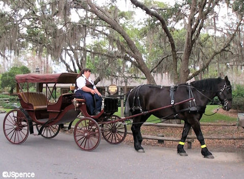 Carriage Ride at Fort Wilderness