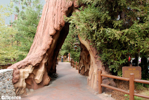 Redwood Creek Challenge Trail