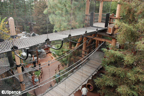 Redwood Creek Challenge Trail