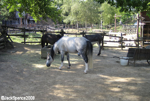 Disneyland Paris Frontierland