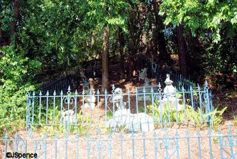 WDW Cemetery