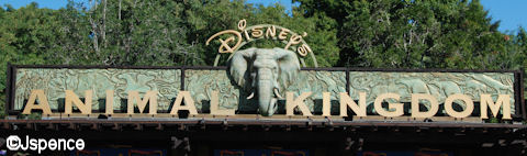 Letter Perfect - Animal Kingdom - Part Two Letter Perfect - Animal Kingdom - Part Two