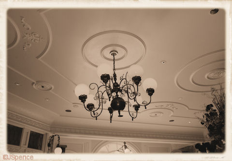 Ceiling and Light Fixture