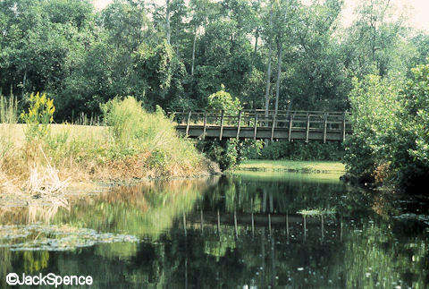 Fort Wilderness Railroad Trestle