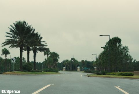 Flamingo Crossings