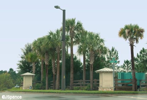 Flamingo Crossings
