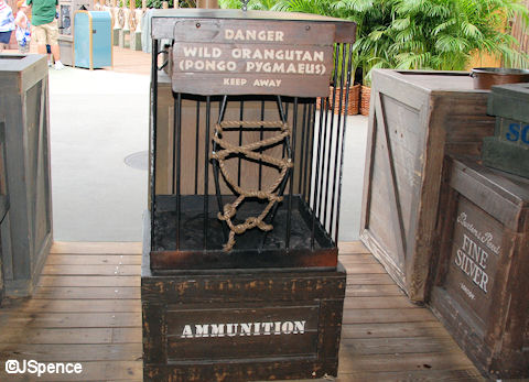 Orangutan Cage