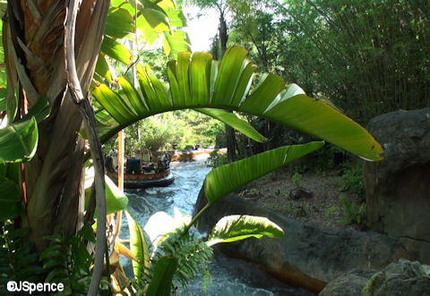 View of Chakranadi River