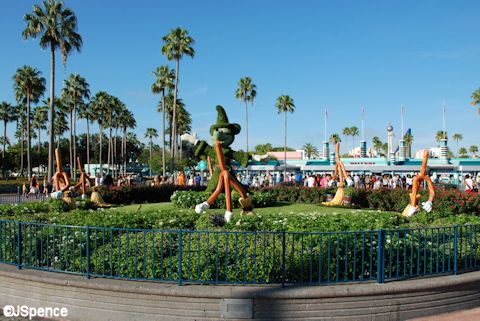Mickey Topiary
